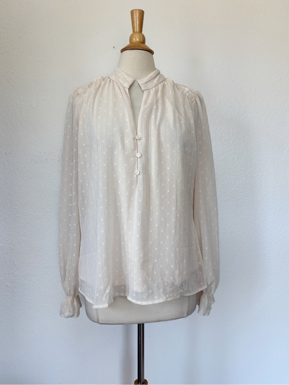 Delicate Cream Swiss Dot Long-Sleeve Blouse